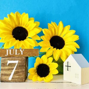 7月、ひまわり